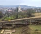 Castelul Corvinilor din Hunedoara Foto Daniel Guță ADEVĂRUL (42) jpg