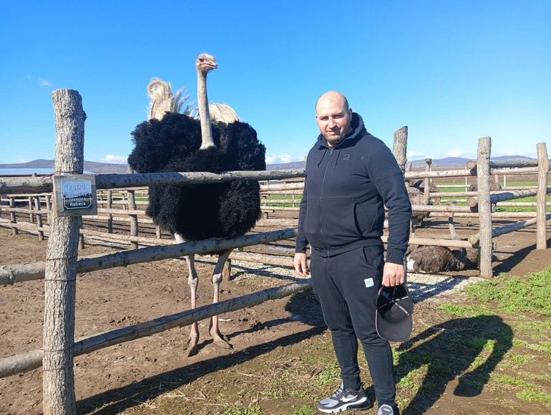 Câmpul cu struți africani de la Bacău, un business de succes, început cu o investiție de 50.000 euro. Cât costă produsele fermei FOTO