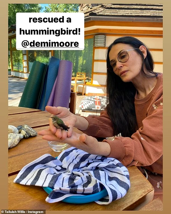 Demi Moore a savat viața unei păsări colibri 