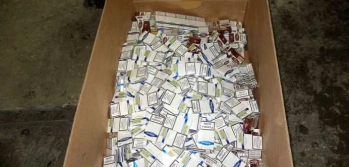 Nu mai puţin de 20.000 de pachete de ţigări au fost confiscate de Poliţie. FOTO: Arhivă