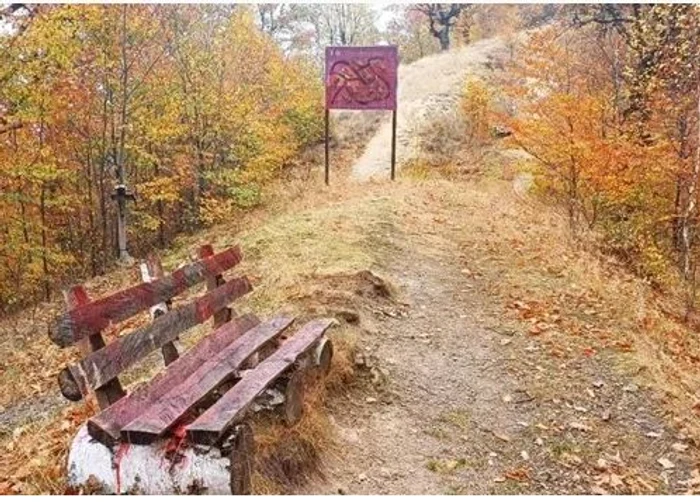 Autorii au stropit cu vopsea roșie banca și panoul de informare FOTO Muzeul Unirii