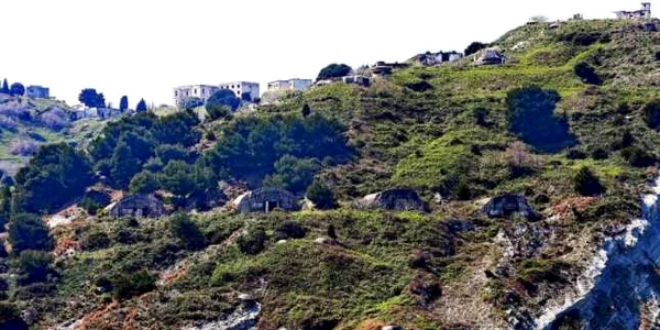 sazan FOTO AP