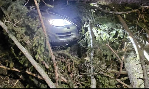 copac cazul la Sinaia foto fb Meteoplus 2 jpg
