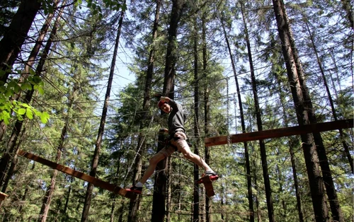 Parcul de Aventură de la Zărneşti. FOTO Wolf Park Adventure