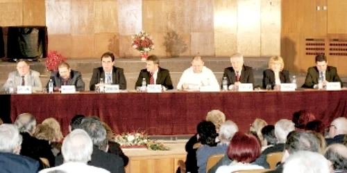 mihai stepanescu psd resita