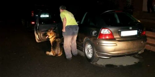 craioveni prinsi cu droguri si pistol