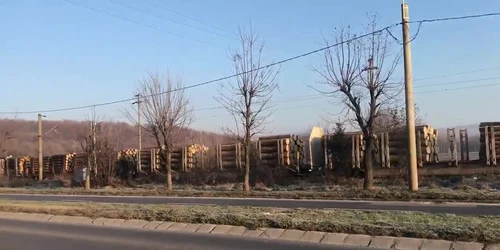 Trenul încărcat cu lemne traversează gara Devei