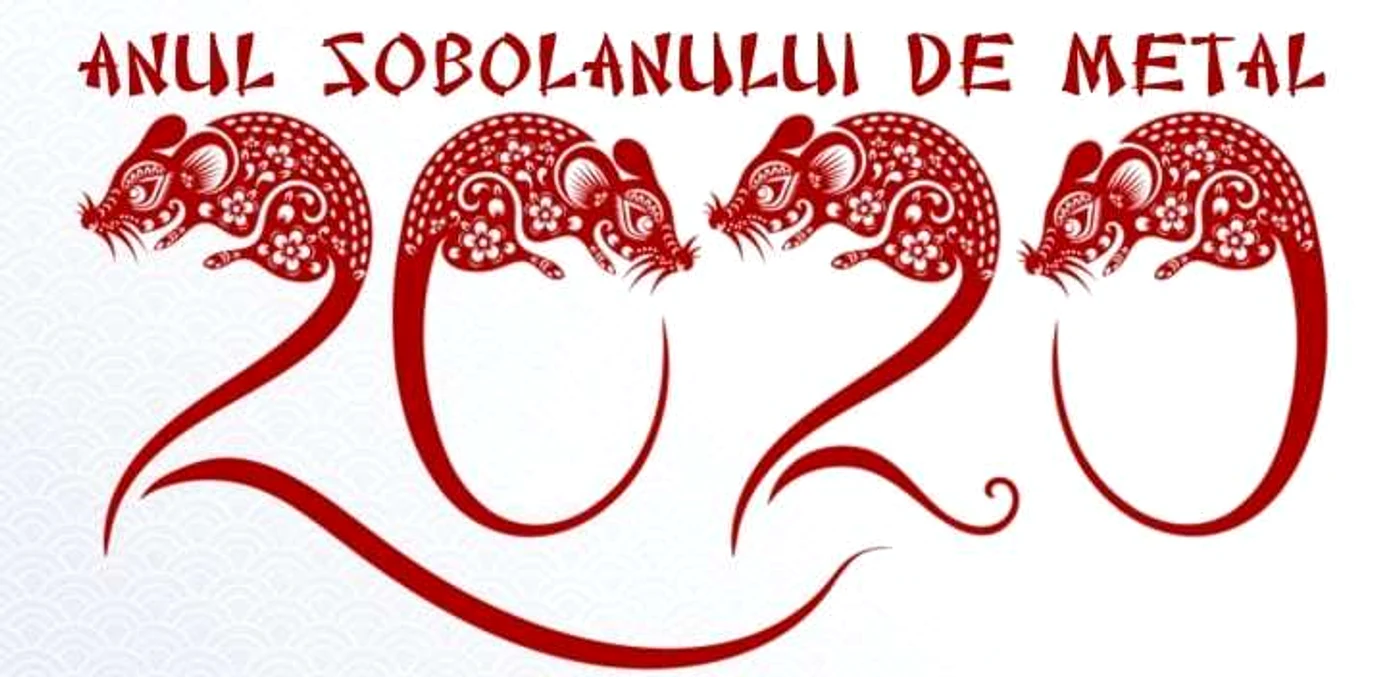 1 anul sobolanului de metal jpg jpeg