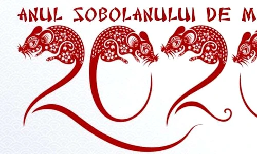 1 anul sobolanului de metal jpg jpeg