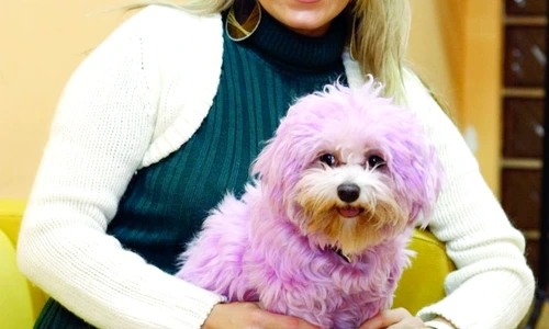 1 47528 original jpg jpeg