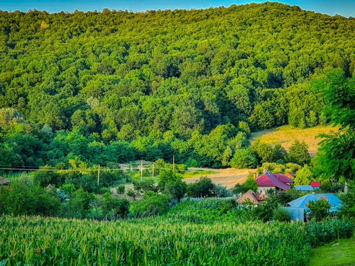 Mitrofani - Vâlcea comuna în care un localnic este căutat de mai bine de o lună Foto Adevărul - credit Ionuţ Pîrvulescu