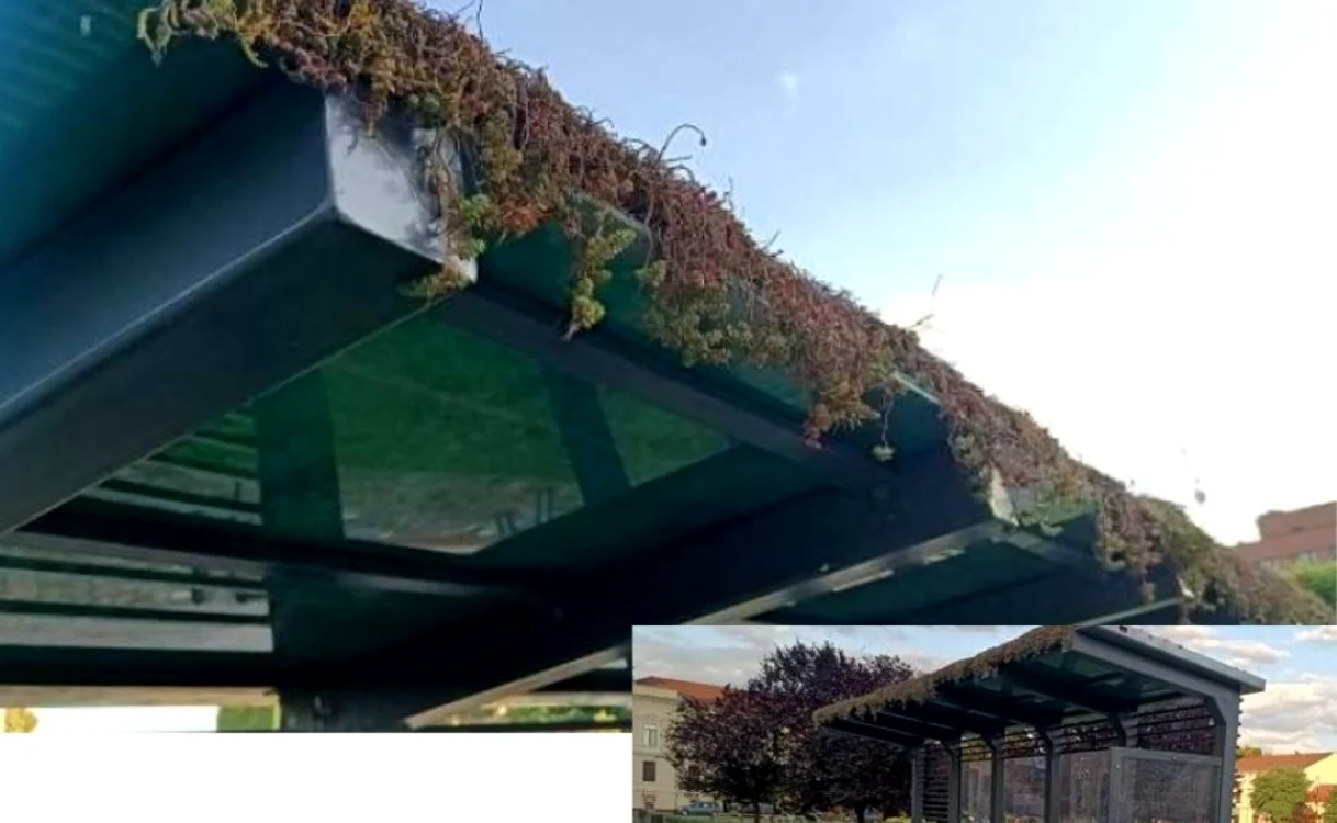Plantele de pe acoperişul staţiei-pilot au fost otrăvite. FOTO: Tele9TV