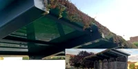 acoperiş plante statie pilot arad foto Tele9TV jpg