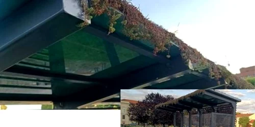 acoperiş plante statie pilot arad foto Tele9TV jpg