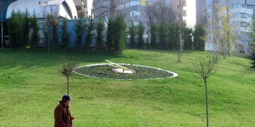 Aranjamentul nu este doar unul de decor