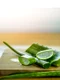 aloe vera suc jpg