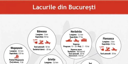 infografie lacuri