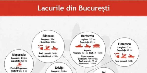 infografie lacuri
