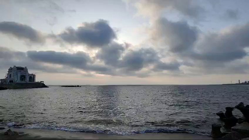 Descoperire macabră: Delfin mort pe plaja din Constanța. Opinia specialiștilor.