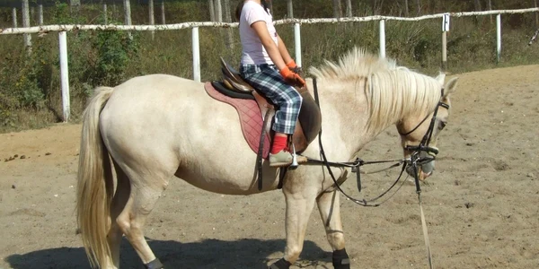 Weekendul de călărie costă 150 de lei, preţ ce include trei şedinţe şi cursuri teoretice