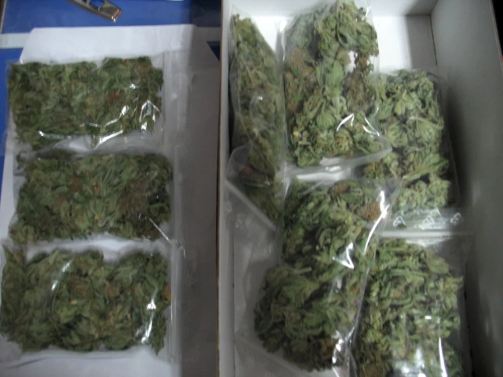Traficantii au cumparat seminte de cannabis de pe internet. Foto Politia Romana