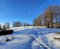 Poiana Omului Ianuarie 2024 Foto Daniel Guță ADEVĂRUL (15) jpg
