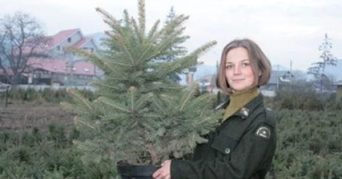 Oana Gheorghiu coordonează pepiniera de la Ocolul Silvic Gârcina