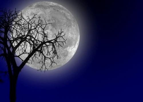 8f04f4ec76deae7c45d910a5e4ab5739 jpg jpeg