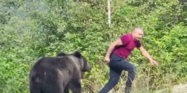 urs alergat turist transfagarasan png