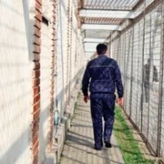 penitenciar 2 1024x576 jpg