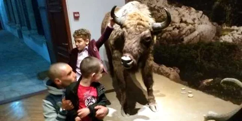 NOAPTEA MUZEELOR TGV