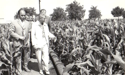 Nicolae Ceaușescu, în vizită la Întreprinderea agricolă de stat Amzacea, județul Constanța (©  „Fototeca online a comunismului românesc”, cota: 88/1979)