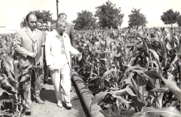 Nicolae Ceaușescu, în vizită la Întreprinderea agricolă de stat Amzacea, județul Constanța (©  „Fototeca online a comunismului românesc”, cota: 88/1979)