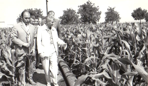 Nicolae Ceaușescu, în vizită la Întreprinderea agricolă de stat Amzacea, județul Constanța (©  „Fototeca online a comunismului românesc”, cota: 88/1979)