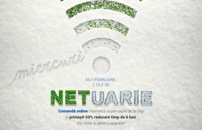 Campanie Digi Netuarie