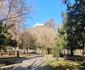 Vila Petru Groza din Deva (16) jpg