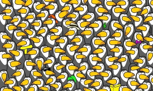 test pinguin jpg