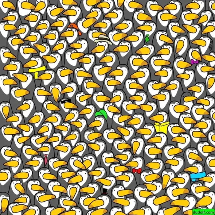 Testul trebuie rezolvat în 25 de secunde / foto: Dudolf