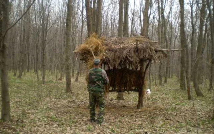 Vânătoare, sursa foto: AVPS Roman