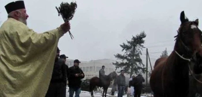 La Băileşti ăn fiecare an pe data de 6 ianuarie are loc botezul cailor Foto:Arhiva