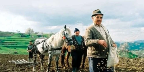 Unde se ascunde secretul longevităţii