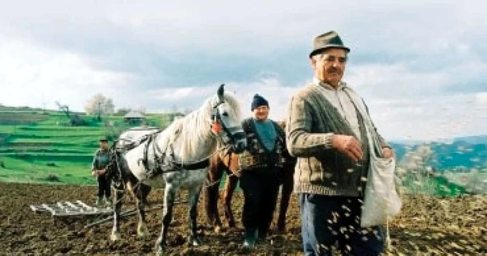 Unde se ascunde secretul longevităţii