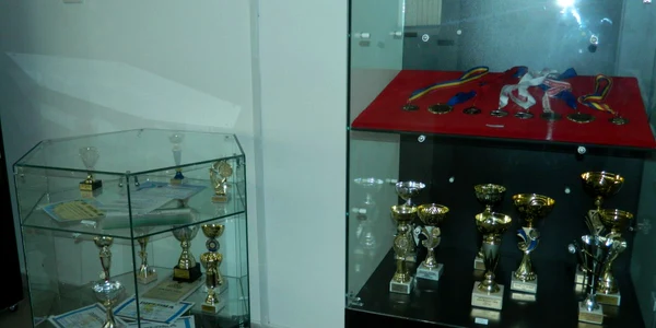 trofee şi medalii