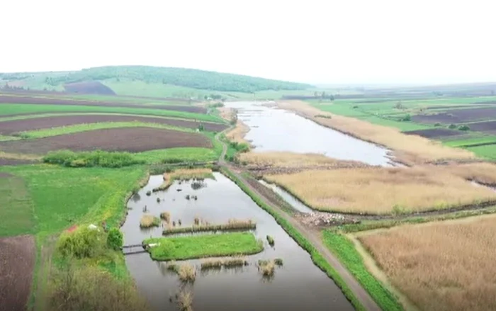 Turbăria de la Lozna FOTO stirileprotv.ro