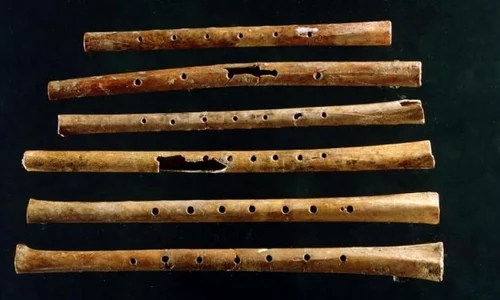 VIDEO: ascultaţi cel mai vechi instrument muzical la care încă se mai poate cânta, ce are 9 000 de ani jpeg