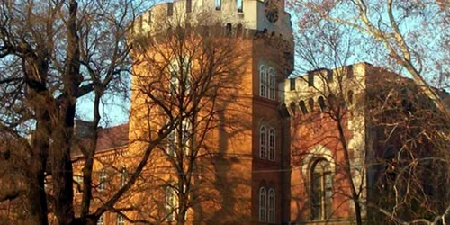 Castelul Huniade din Timişoara