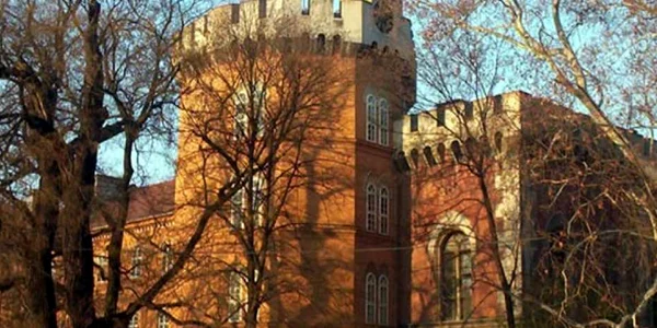 Castelul Huniade din Timişoara