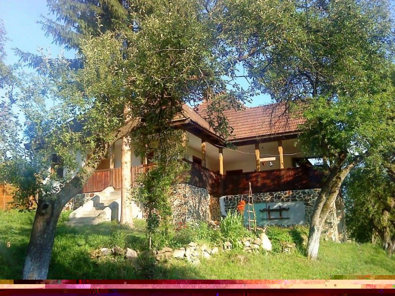 Câţi bani sunt dispuşi să dea românii pe o casă de vacanță: muntele câştigă  detaşat în faţa litoralului