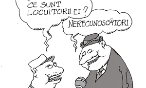 Disperaţi după normalitate jpeg