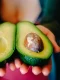 avocado jpg